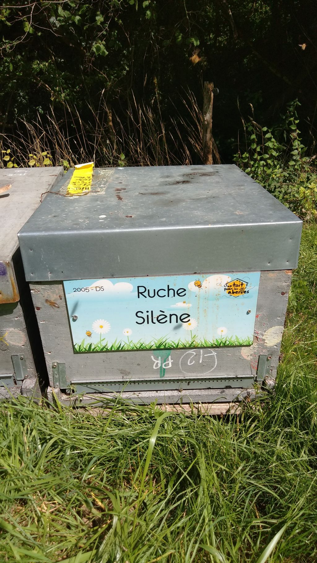 La ruche Silène
