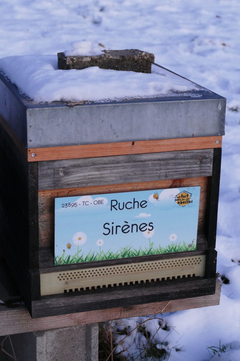 La ruche Sirènes