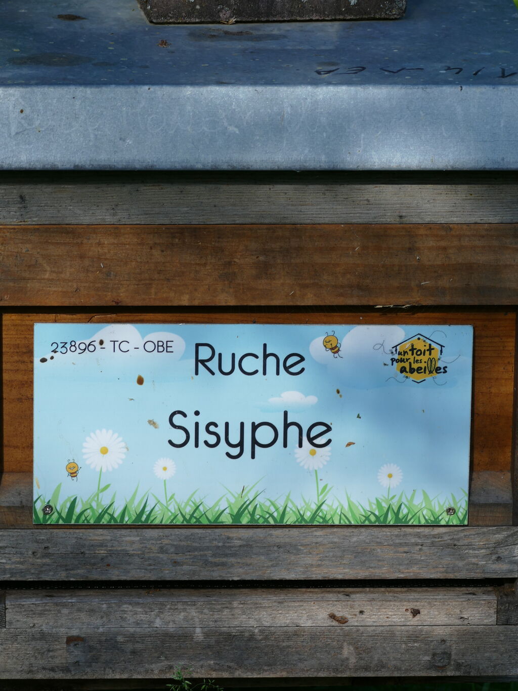 La ruche Sisyphe