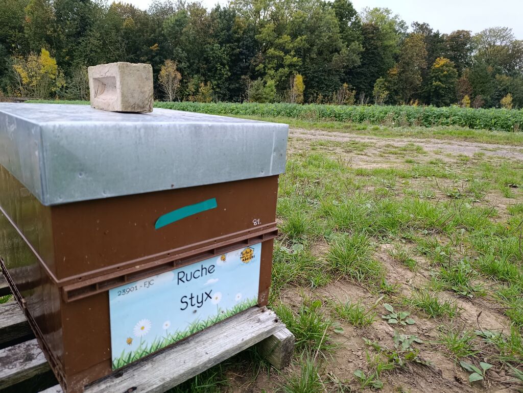 La ruche Styx