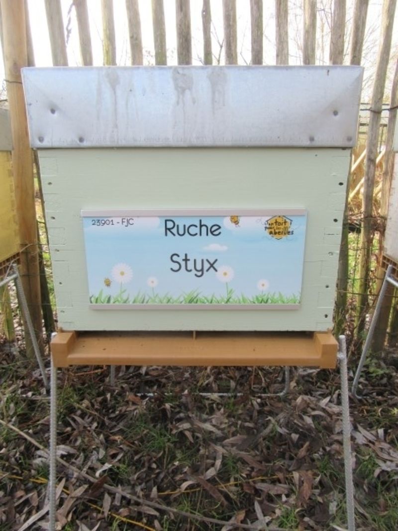 La ruche Styx