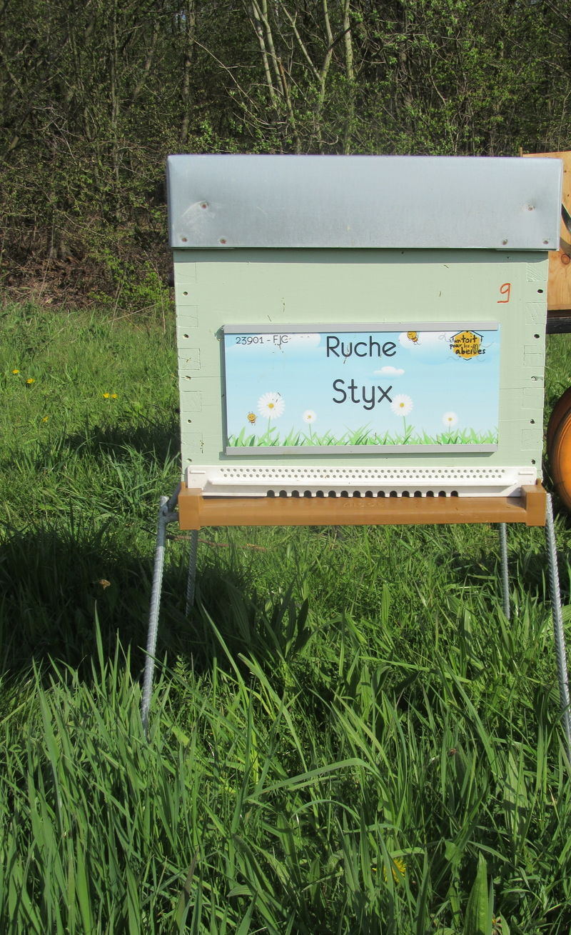 La ruche Styx