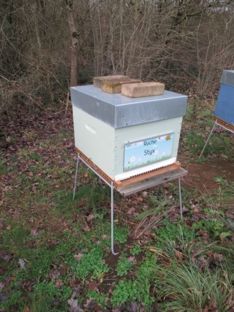 La ruche Styx