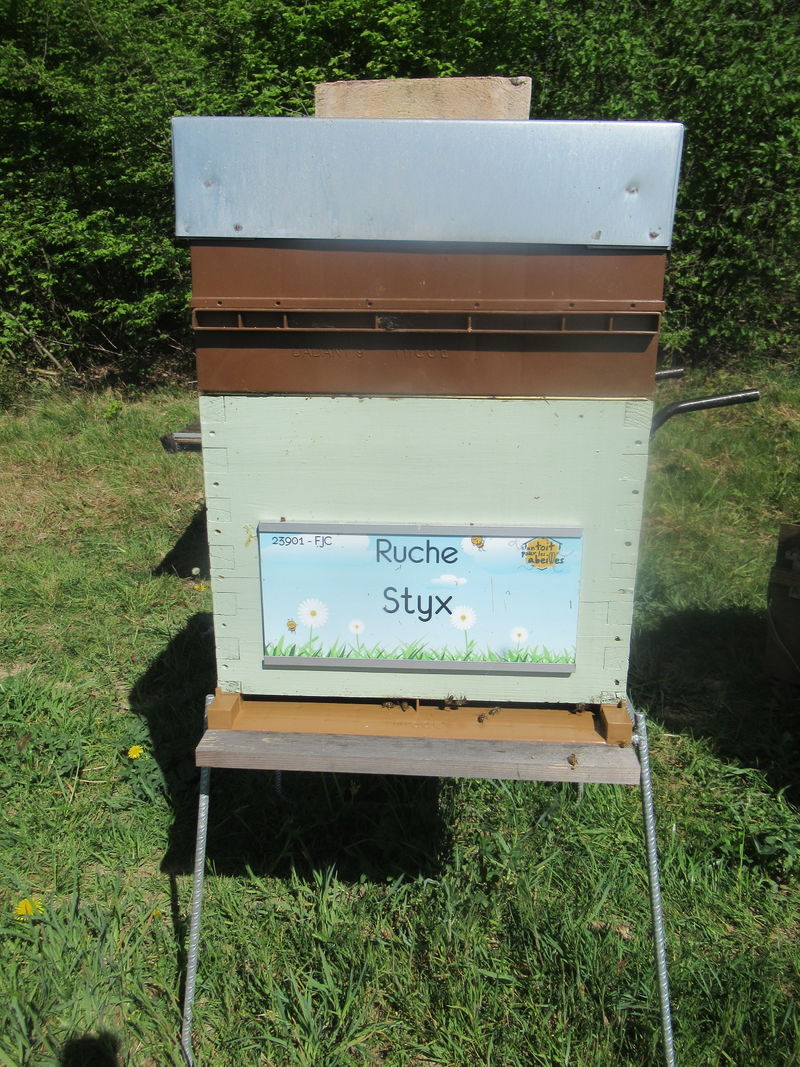 La ruche Styx