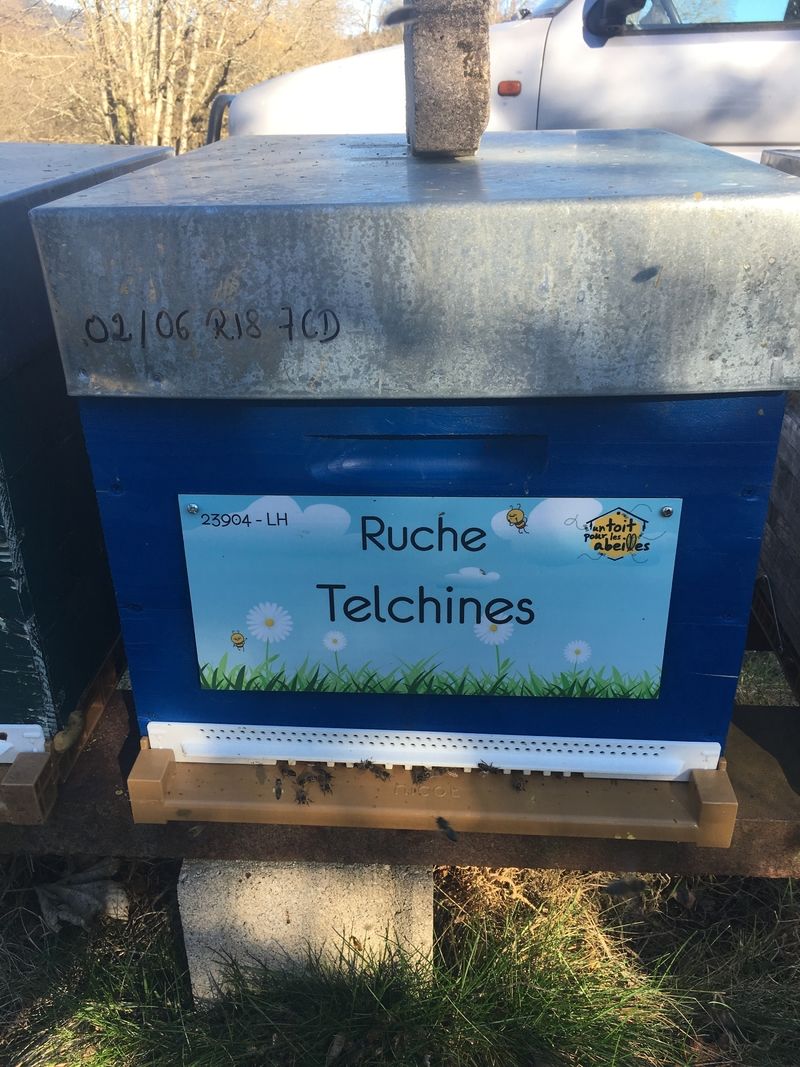 La ruche 