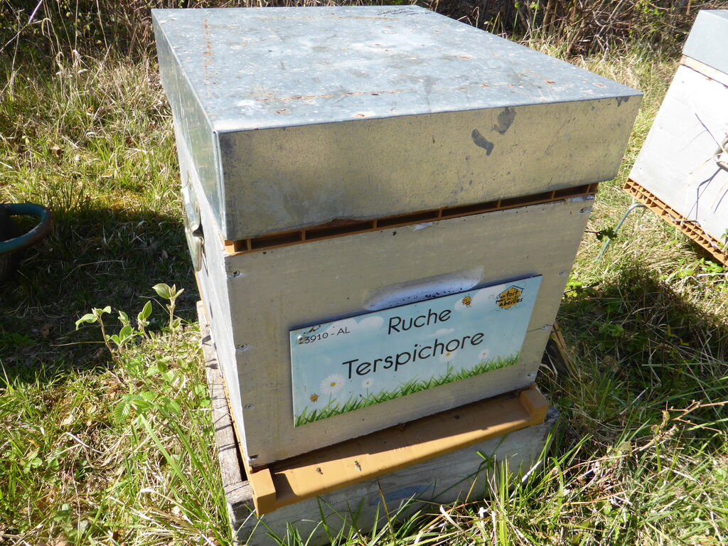 La ruche Terspichore