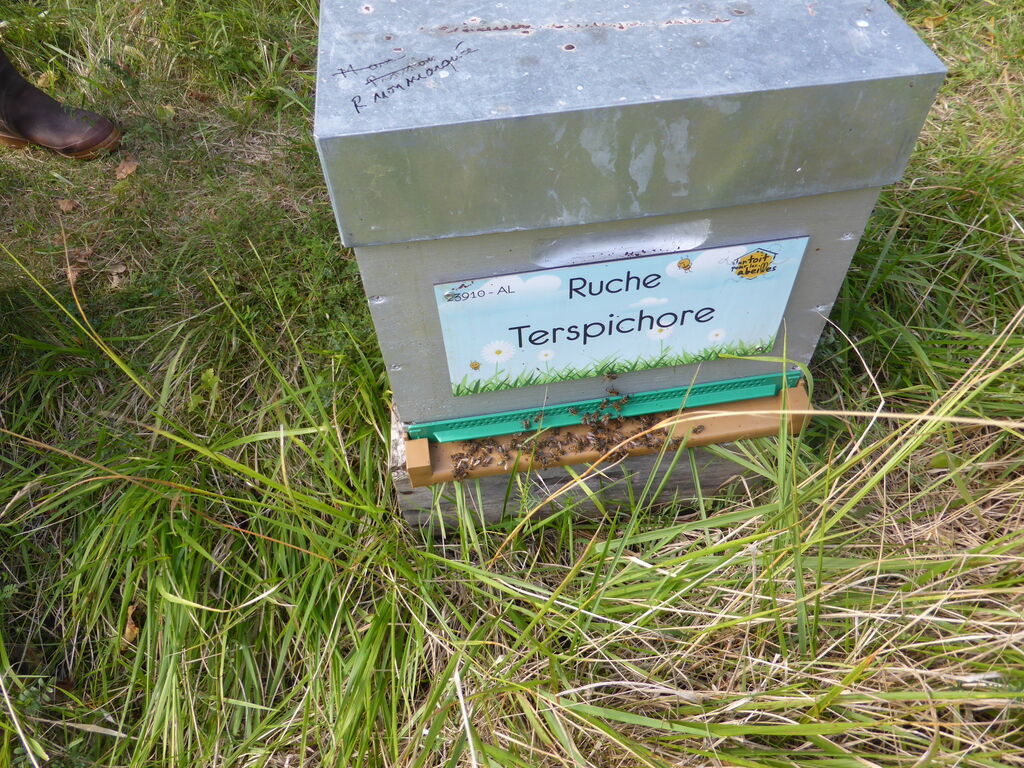 La ruche Terspichore