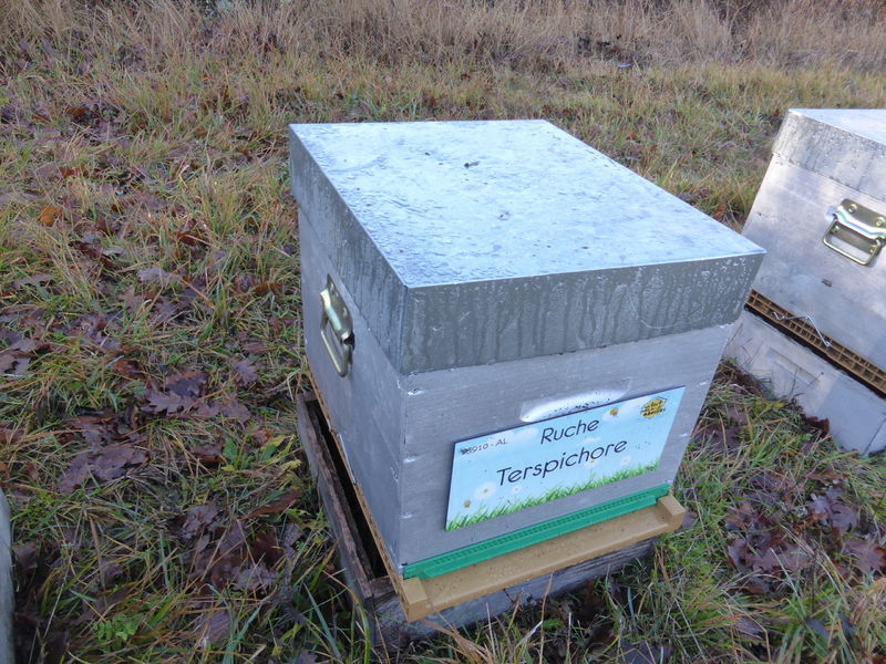 La ruche Terspichore