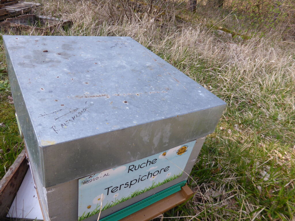 La ruche Terspichore