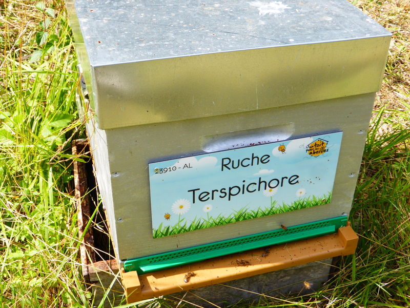 La ruche Terspichore