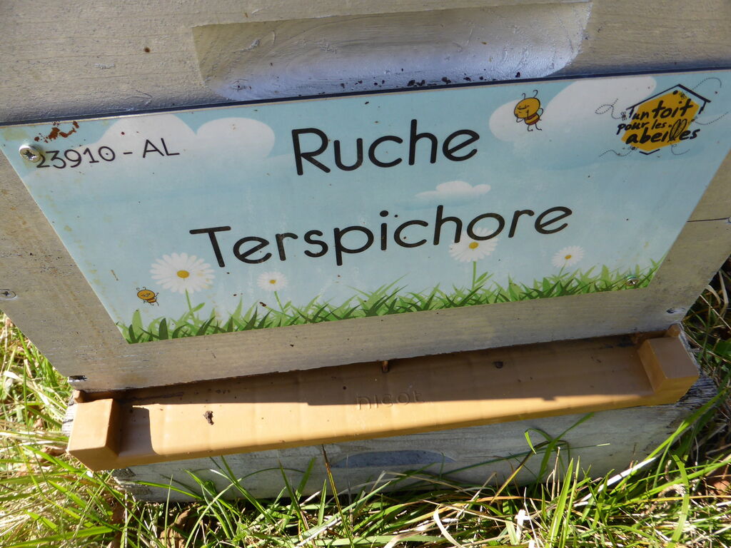 La ruche Terspichore