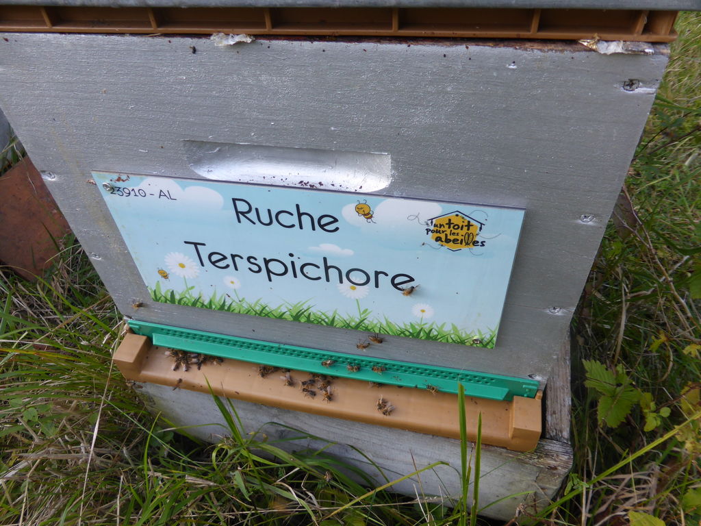 La ruche Terspichore