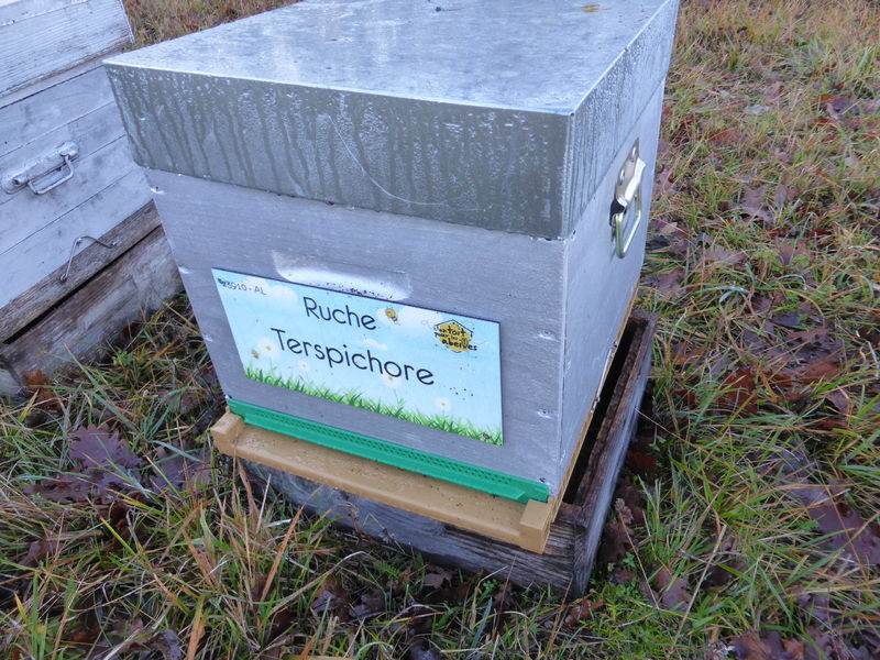 La ruche Terspichore