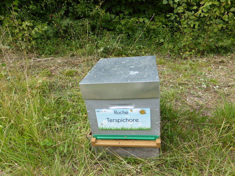 La ruche Terspichore