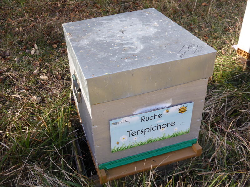 La ruche Terspichore