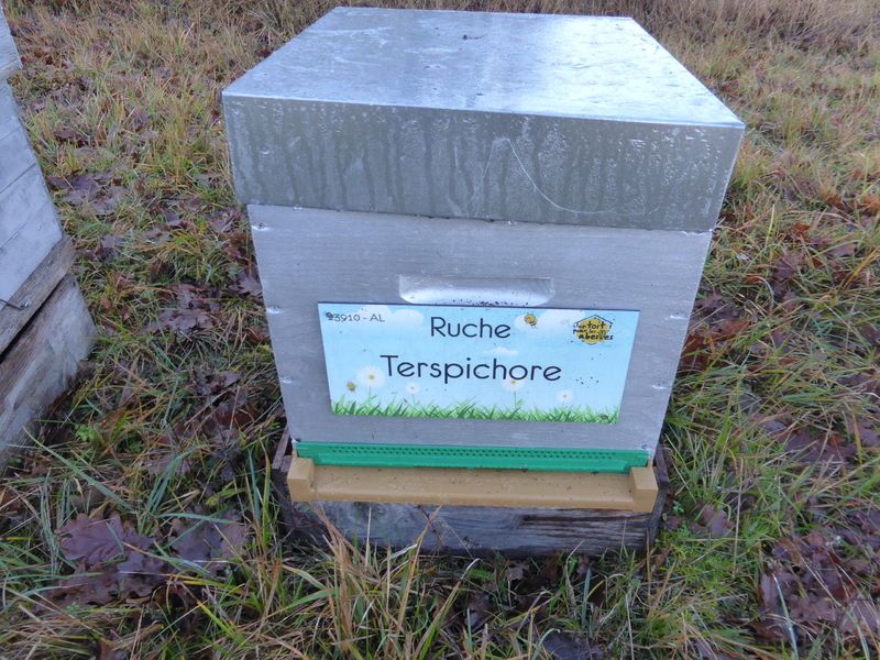 La ruche Terspichore