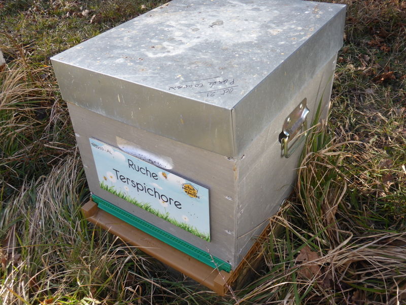 La ruche Terspichore