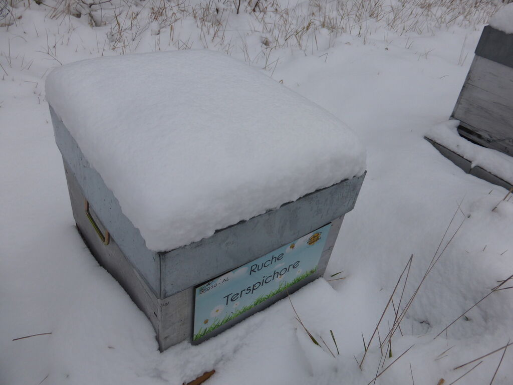 La ruche Terspichore