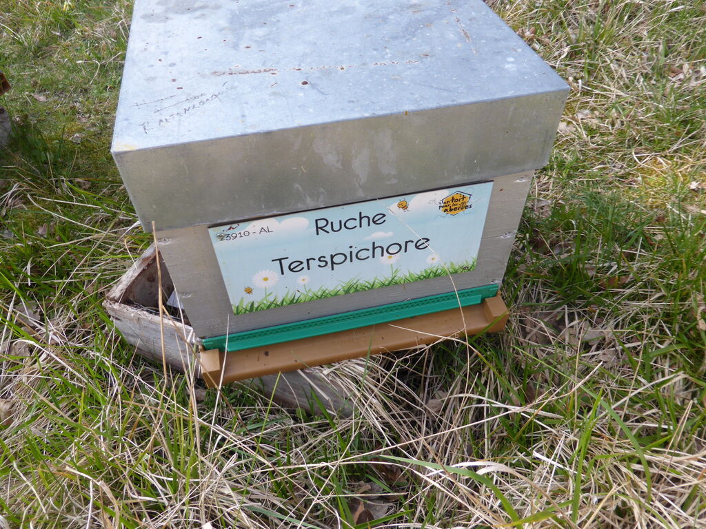 La ruche Terspichore