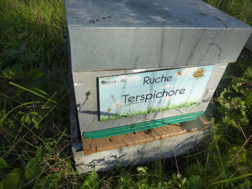 La ruche Terspichore