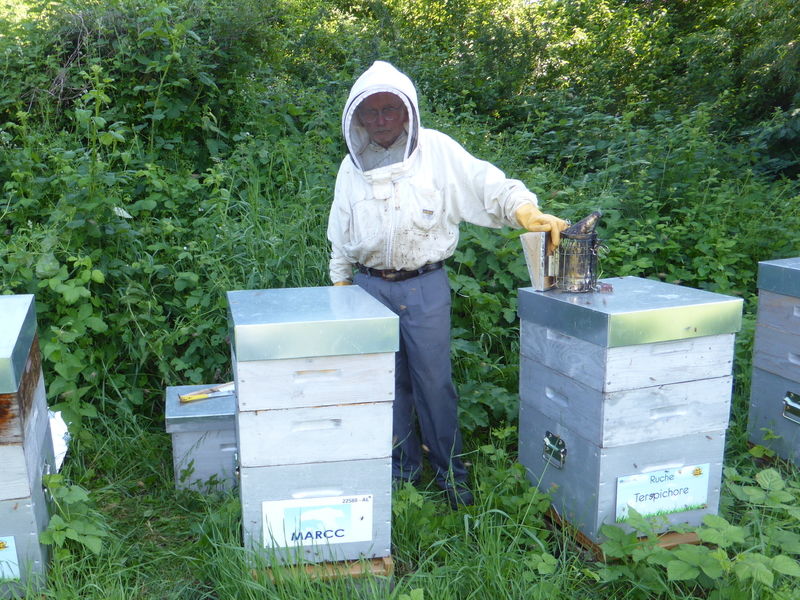 La ruche Terspichore