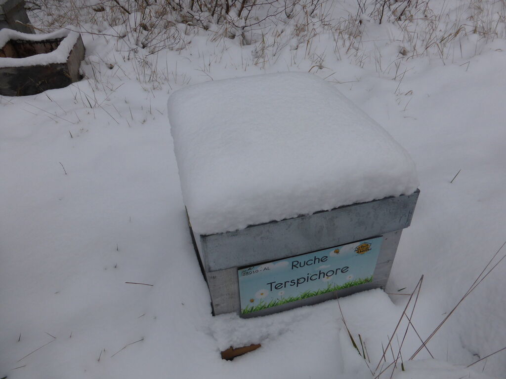 La ruche Terspichore