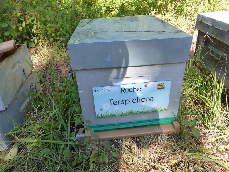 La ruche Terspichore