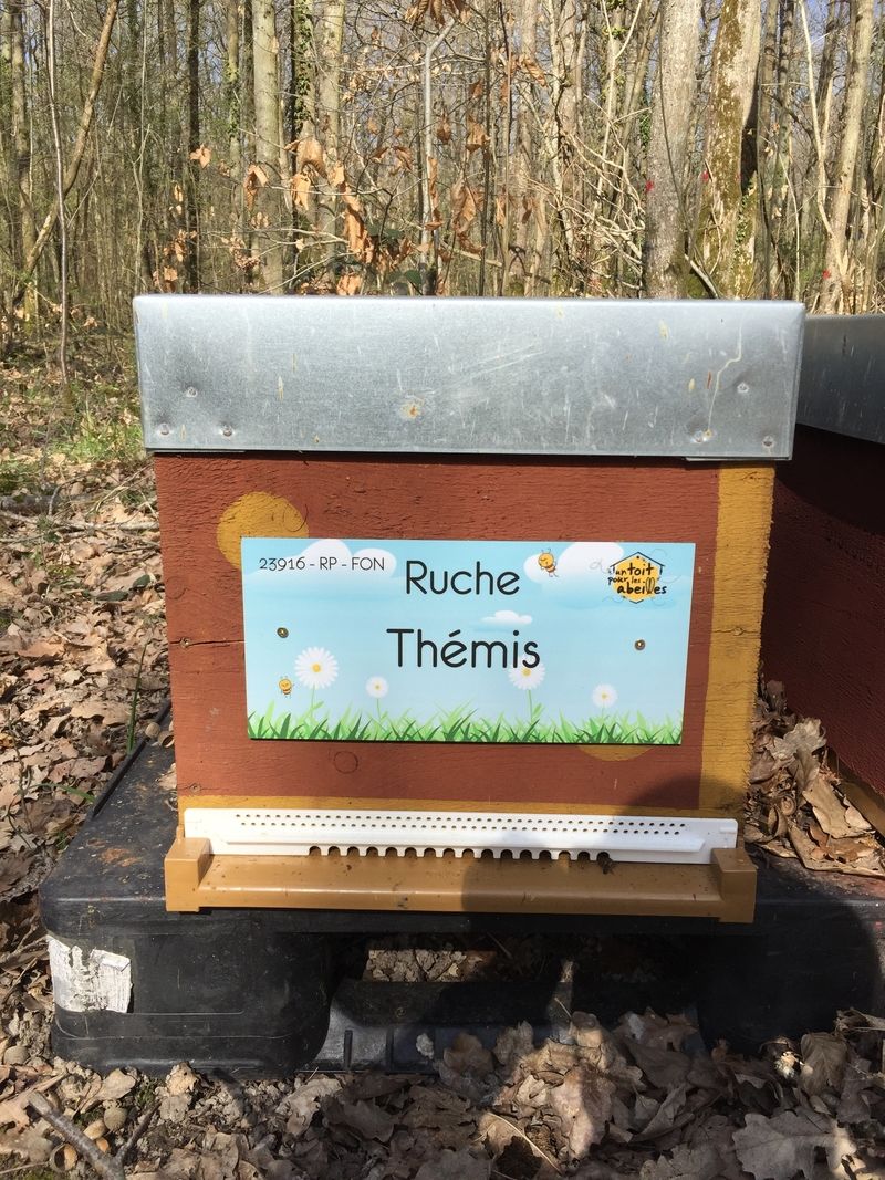 La ruche