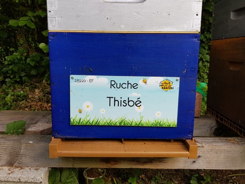 La ruche Thisbé