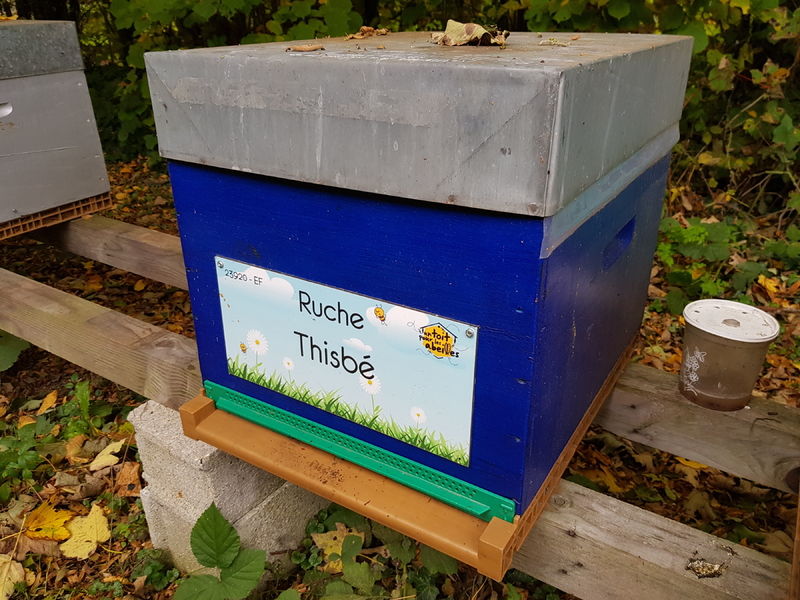 La ruche Thisbé