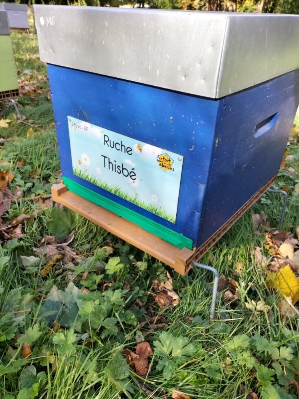 La ruche Thisbé