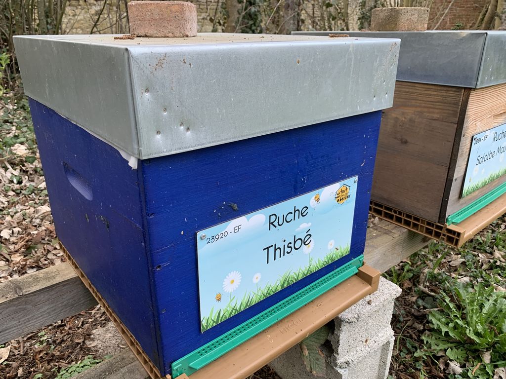 La ruche Thisbé
