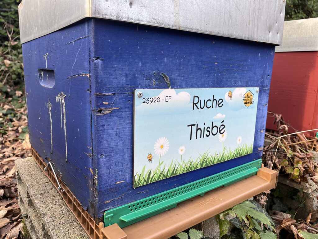La ruche Thisbé