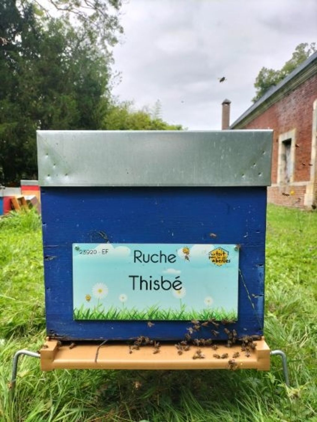 La ruche Thisbé