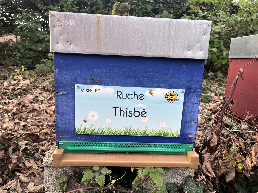 La ruche Thisbé