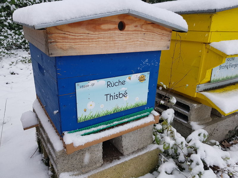 La ruche Thisbé