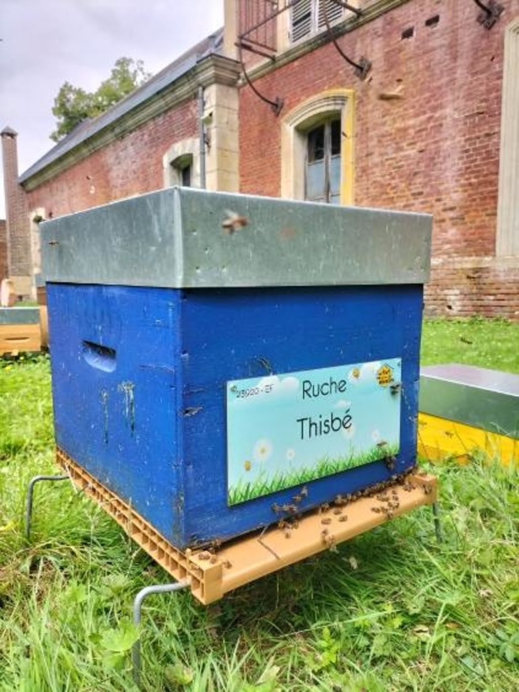 La ruche Thisbé
