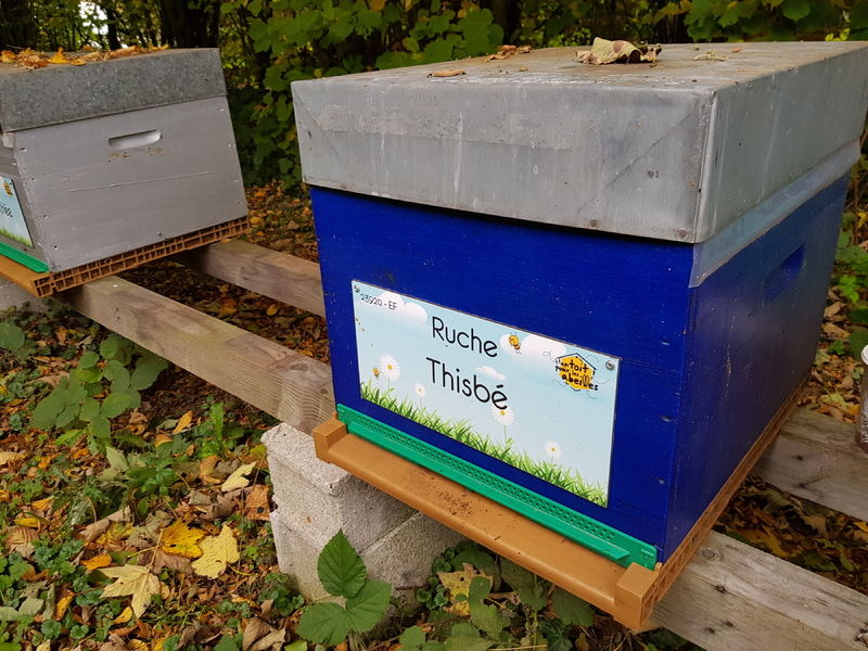 La ruche Thisbé