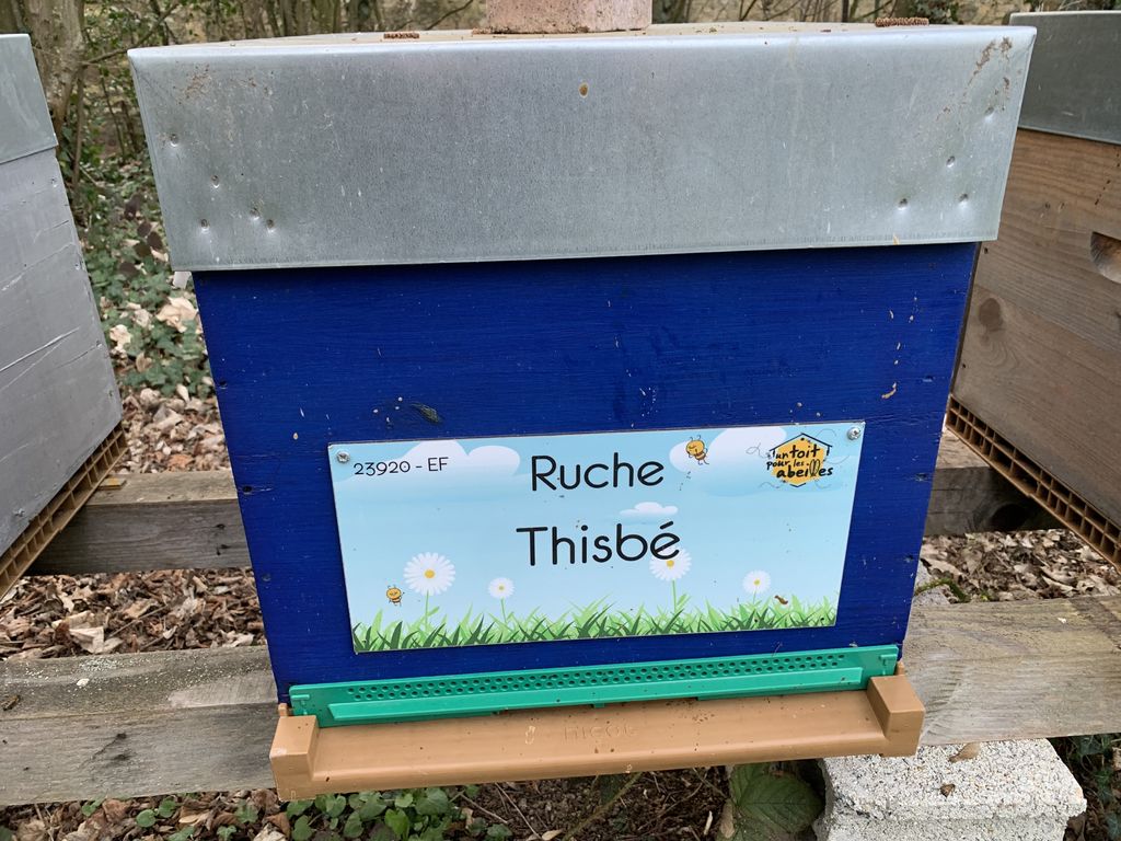 La ruche Thisbé