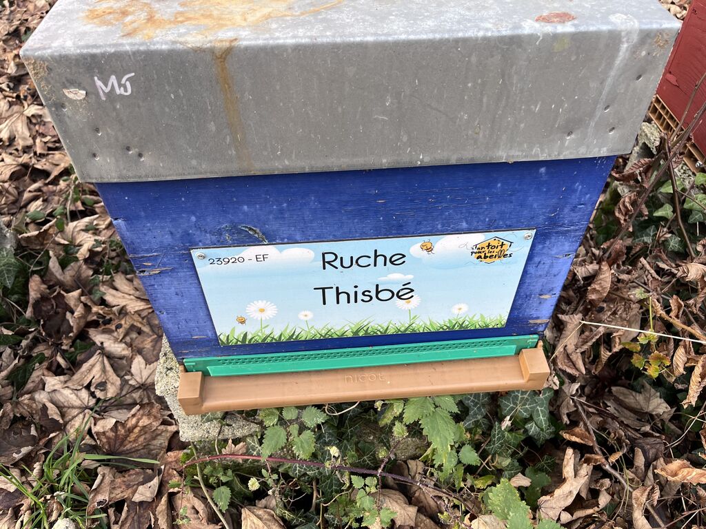 La ruche Thisbé