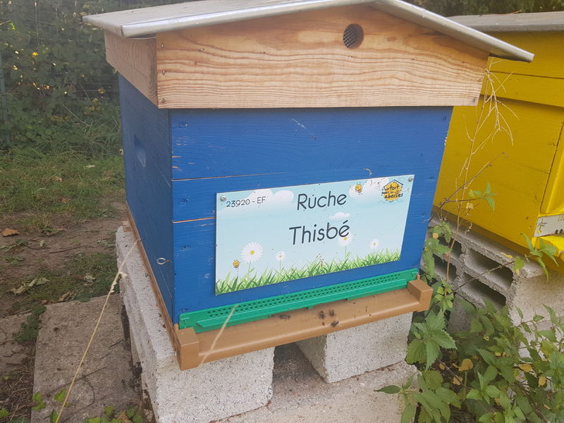 La ruche Thisbé