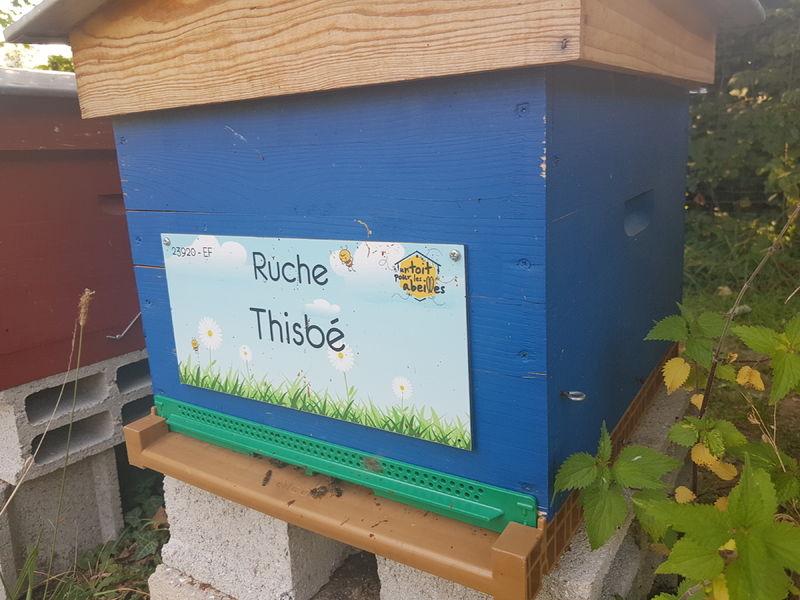 La ruche Thisbé