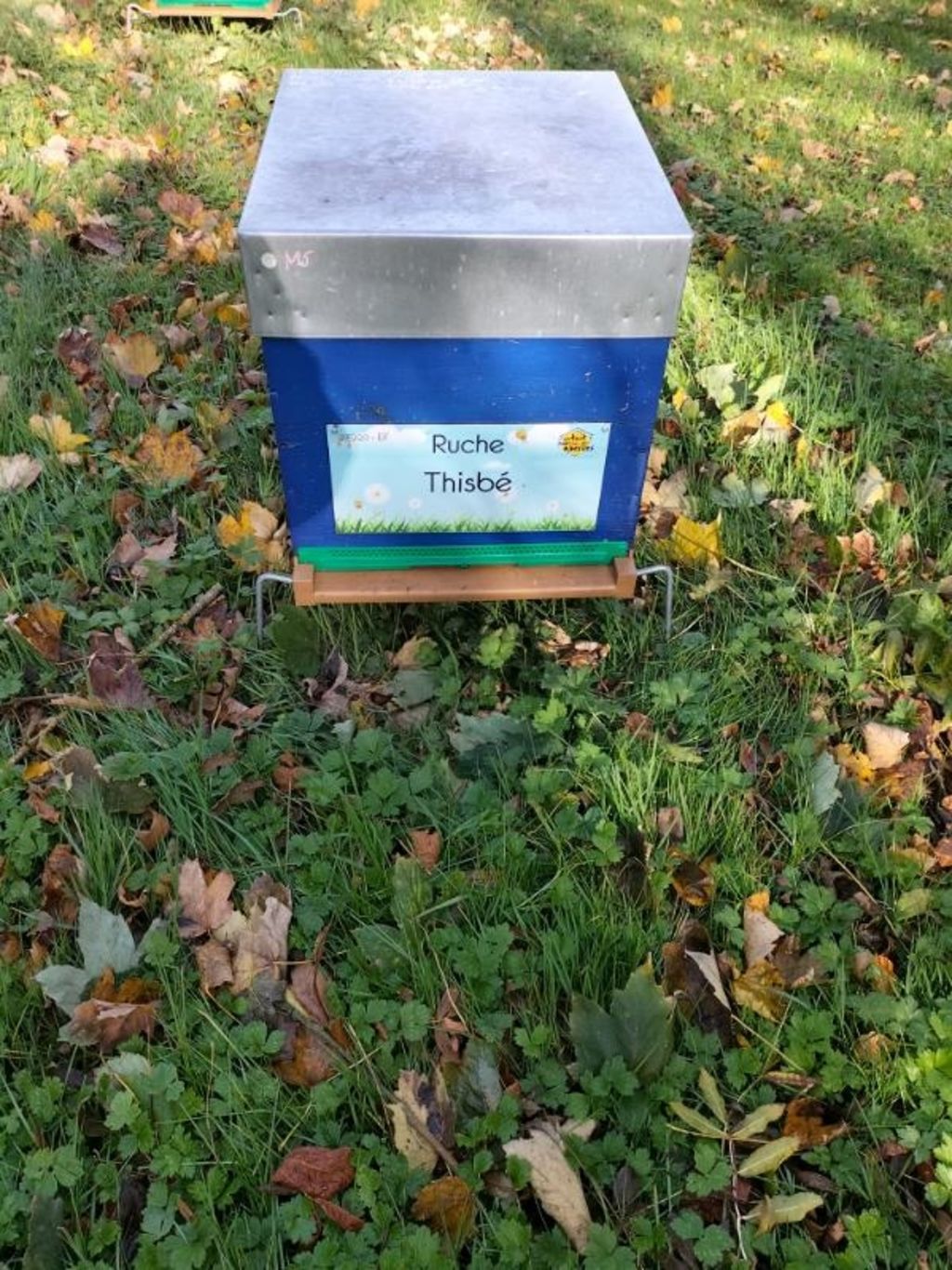 La ruche Thisbé