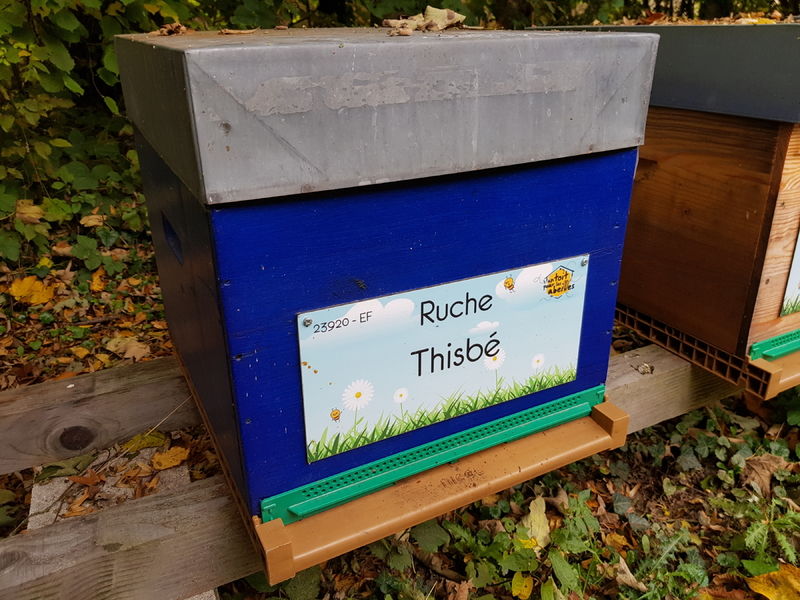 La ruche Thisbé