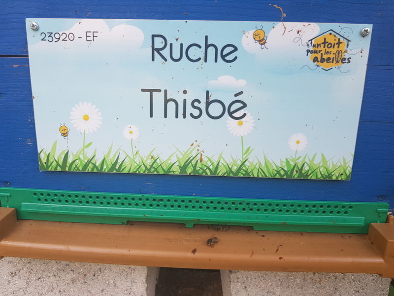 La ruche Thisbé