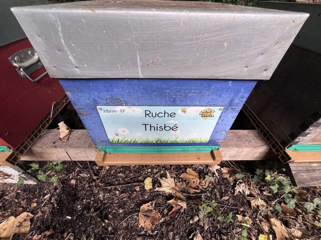 La ruche Thisbé