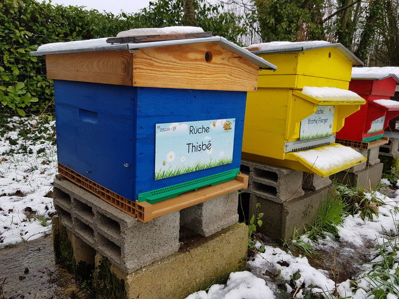 La ruche Thisbé
