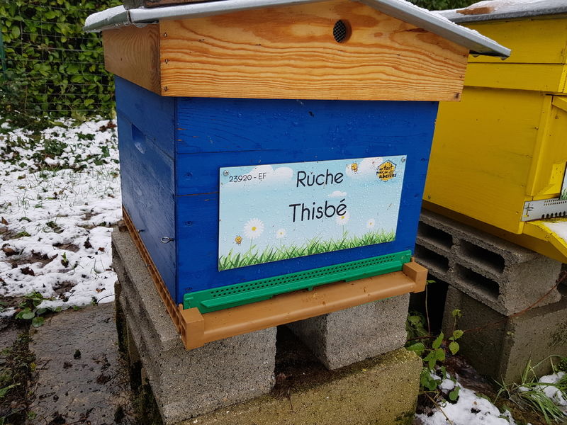 La ruche Thisbé
