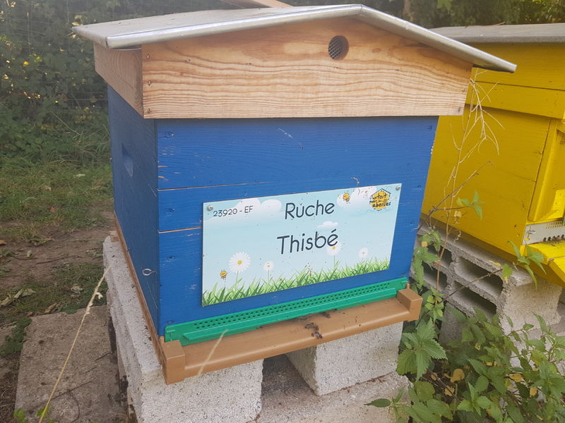 La ruche Thisbé
