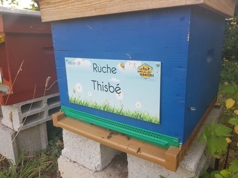 La ruche Thisbé